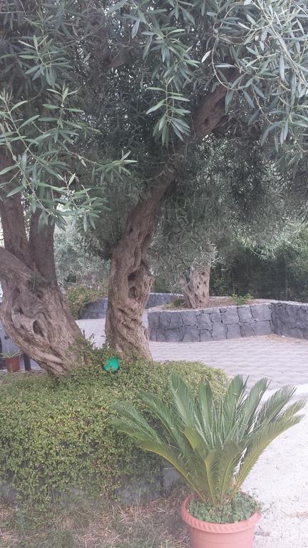 Azienda Agricola Cuntarati Bronte Dış mekan fotoğraf