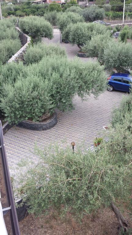Azienda Agricola Cuntarati Bronte Dış mekan fotoğraf